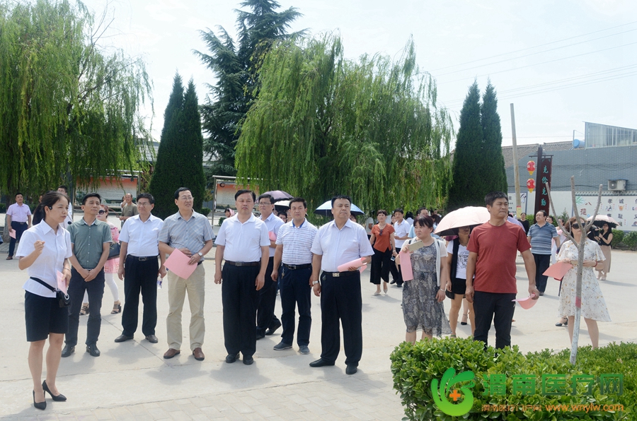 与会人员观摩了合阳县坊镇。记者 杨大君 摄